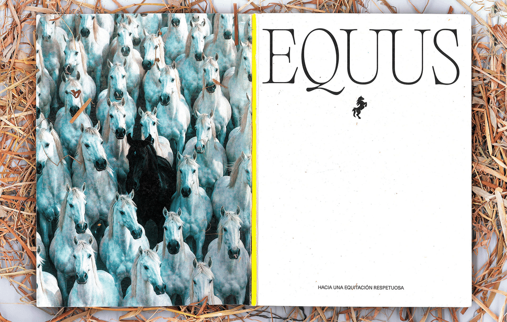 Flat plan de Equus